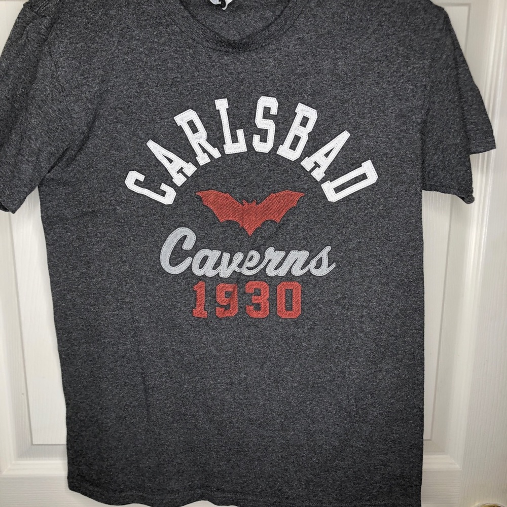 🌵Gray Carlsbad t-shirt size small